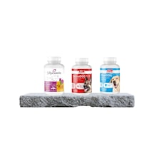 Purecanpati Köpek Vitamin Tüy Bakım Destek Seti Silycumin Dermado