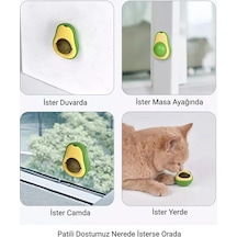 Avokado Kedi Nanesi Oyun Topu Çok Renkli