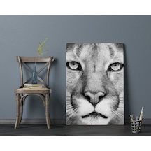 Bk Home Puma Tasarımlı Kanvas Tablo 70X100Cm-1