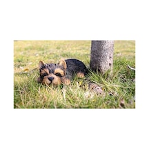 Yorkshire Terrier Heykeli, Siyah, Evcil Hayvan Dostları İçin