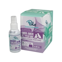 Polo Amor Amor Parfüm 100 ML
