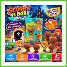 Bezos Cool Things Scooby Doo Buddies 3d Sürpriz Figür Paketi Dmc Scooby-doo