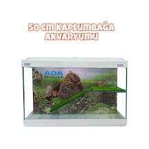 Ada Akvaryum Su Kaplumbağası Akvaryumu Bahçeli Rampalı Dinlenme 50x30x25 Cm Arka Plan Hediyeli