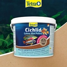 Yem Cichlid Mini 10 Litre