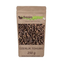 BenimAktar Üzerlik Tohumu 250 G