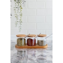 Flosoft Doğal Ahşap Kapaklı Kaşıklı 3’lü Mika Baharatlık, Ahşap Stantlı Sosluk Reçellik Baharatlık Seti Diğer