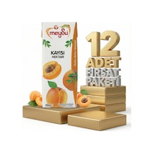 Meysu Nektar Kayısı 12x200 Ml