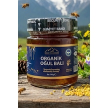 Nurbal Şifa Merkezi Organik Oğul Balı 300 G