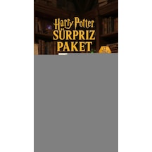 Harry Potter Sürpriz Figür Koleksiyonu Kutu Oyuncak