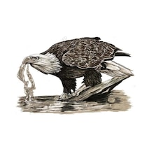 Kartal Içme Suyu Kalem Ve Mürekkep Sanat Vinil Çıkartma