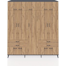 Atlas Çam - Atlas Çam