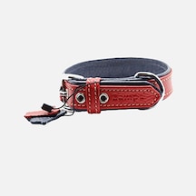 Zampa Flotter M Köpek Boyun Tasması 54 Cm