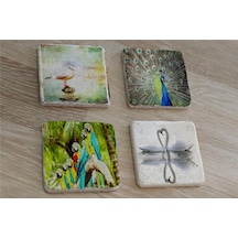 Martı Tavuskuşu Papağanlar Kuğular Doğal Taş Bardak Altlığı 4'lü Set - Natural Stone Coasters - Taş Çok Renkli