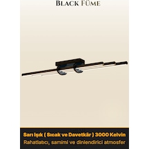 Sarı Işık