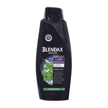 Blendax Mentol 500 ml Şampuan x 6 Adet