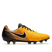 Nike DJ2837-007 Mercurial Vapor14 Elite Fg Krampon