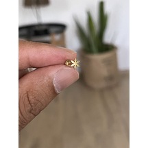 316 L Cerrahi Çelik Tragus Helix Kıkırdak Conch Minimal Yıldız Piercing Altın - Gül