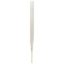 Yapay Bitki Pampas Beyaz 108 Cm. Çok Renkli