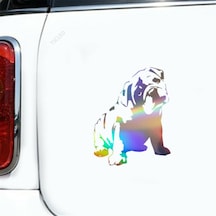 Bulldog Vinil Çıkartması Araba Sticker 1