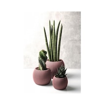 Omnipazar Krs Mercan Dekoratif Kaktüs Sukulent Plastik Saksı Takımı 3'lü Set Soft Pembe