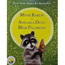 Minik Rakun Ve Anılarla Dolu Meşe Palamudu