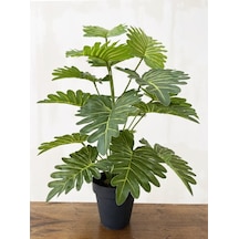 Yapay Ağaç Salon Bitkisi Syngonium 70 Cm 18 Yaprak Antrasit Saksı
