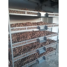 Ceviz Ve Meyve Kurutma Rafları 1 Adet Ölç.95X220X12Cm120Kg