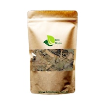 Avakado Yaprağı Paket 100gr