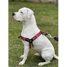 Köpek Göğüs Tasması Büyük & Çok Büyük Irk Ayarlamalı Önden Ve Sırttan Çekmeli Kordon Kırmızı & Siyah Çok Renkli