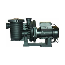 2 hp Monofaze SCPA Serisi Pompa