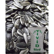 Vivid Küçük Çekirdek Tuzsuz 1kg Praket