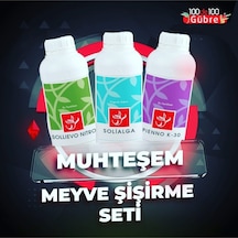 Meyve Şişirici Dolgunlaştırıcı Gübreleme Seti