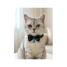 Papyonlu Kedi Boyun Tasması Ayarlanabilir Papyon Fiyonk Zilli Siyah