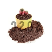 İthal Sphagnum Bitki Yetiştirme Torfu - Böcek Sinek Yapmaz Premium Kalite 5 Lt 0.75 LT - 2.5 LT - 12 KG