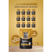 Reflex Plus Britsh Shorthair Yetişkin Kedi Konservesi 85gr X 12 Adet