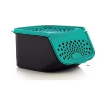 Tupperware Midi Sarımsak Saklama Kabı Çok Renkli