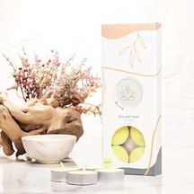 Mitr Papatya Kokulu Tealight Mum Çok Renkli