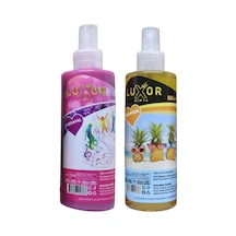 Luxor Kimya Karnaval ve Tropikal Oto Kokusu 2x200 ML