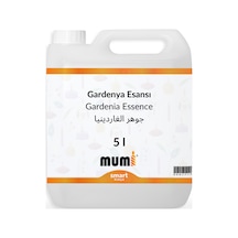 Gardenya Mum Esansı 5 Litre Şeffaf