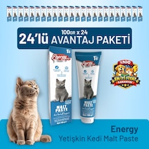 Yetişkin Kedi Malt Paste 100 G - 24 Adet