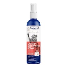 Beavis Catnip Kediler için Oyun ve Eğitim Spreyi 100 ML