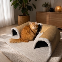 Patikadan Patirotası Kedi Oyun Tüneli