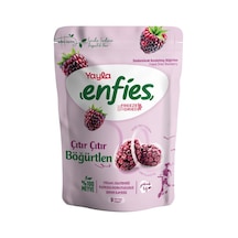 Yayla Enfies Freeze Dried Dondurularak Kurutulmuş Çıtır Meyve-böğürtlen 15 Gr 10 G