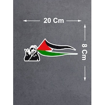 20x8 Cm