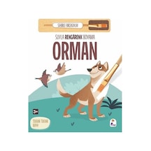 Suyla Rengarenk Boyama - Orman Sihirli Fırçasıyla