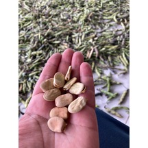 1 Kg Kuru Bakla Yerli Üretim Doğal Ve Katkısız İç Bakla