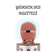 Şarjlı - 109 - Ve Uzun Pil Ömürlü Karaoke Mikrofon Usb Bellek Destekli, - Flzdgnkr - Profesyonel Ses