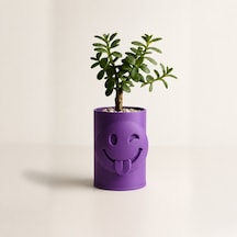 3d Baskı Emoji Planter - Göz Kırpan Yüzlü Sukulent Saksısı-mor Çok Renkli