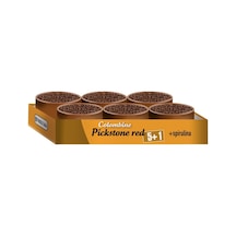 Versele Laga Colombine Pickstone Red Güvercinler İçin Mineral Pastası 600 Gr 6'lı Paket