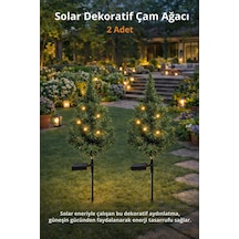 Çam Ağacı